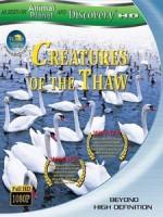 狂野亞洲 - 解凍的生物 (Wild Asia - Creatures of The Thaw)[台版]