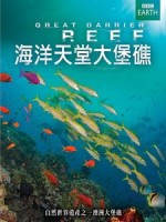 海洋天堂大堡礁 (Great Barrier Reef)[台版]