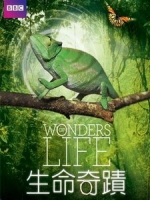 生命奇蹟 (Wonders of Life) [Disc 2/2][台版]