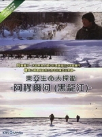 東亞生命大探勘 - 阿穆爾河 (The Amur Exploring The Life Of East Asia) [Disc 3/5][台版]