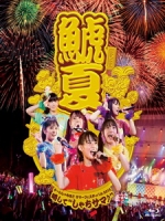 虎魚組 - チームしゃちほこサマーフェスティバル 2013 ~ 略して しゃちサマ♪ 演唱會