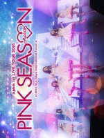 Apink - 1st LIVE TOUR 2015 ~PINK SEASON~ 演唱會