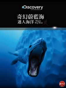 奇幻蔚藍海 - 迷人海洋 (The Magic of the Big Blue - Fascinating Ocean) [Disc 4/4][台版]