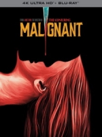 [英] 疾厄 (Malignant) (2021)[台版]