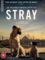 [土] 浪浪伊斯坦堡 (Stray) (2020)[台版字幕]