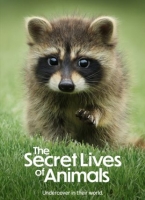 [英] 動物的秘密生活 The Secret Lives of Animals (2024) [Disc *2]