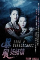 [港] 暴風姊妹情 (1991)