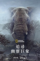 [英] 追尋幽靈巨象 / 追尋幽靈大象 Ghost Elephants (2025)