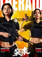 [陸] 突襲 The Raid  (2026)